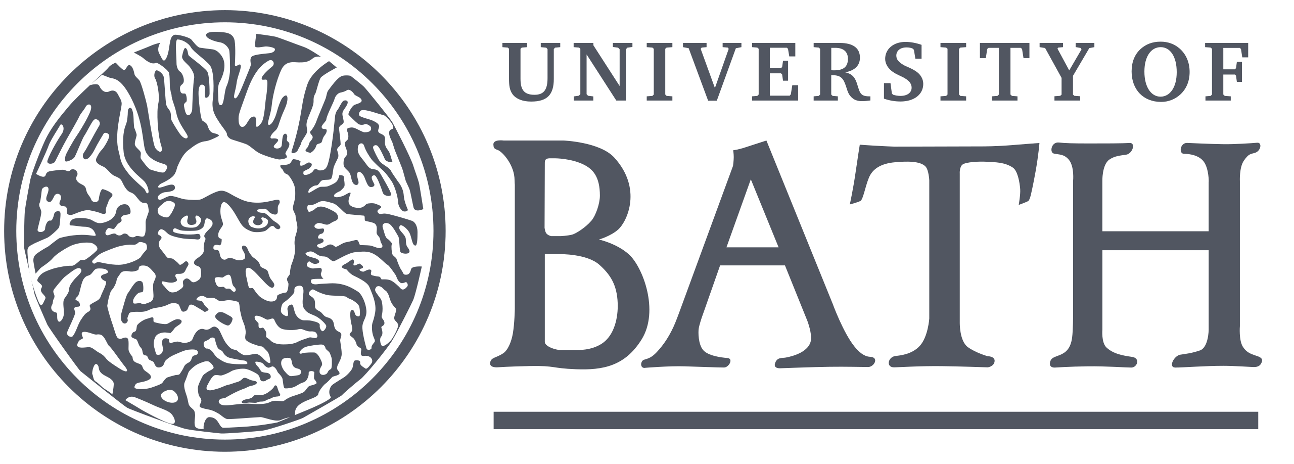 University of Bath